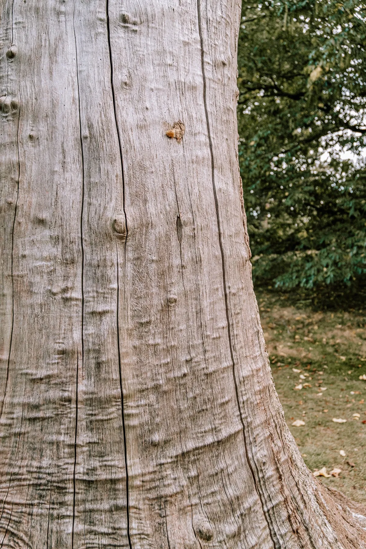 Nature and wildlife photography by Sofie Redfern