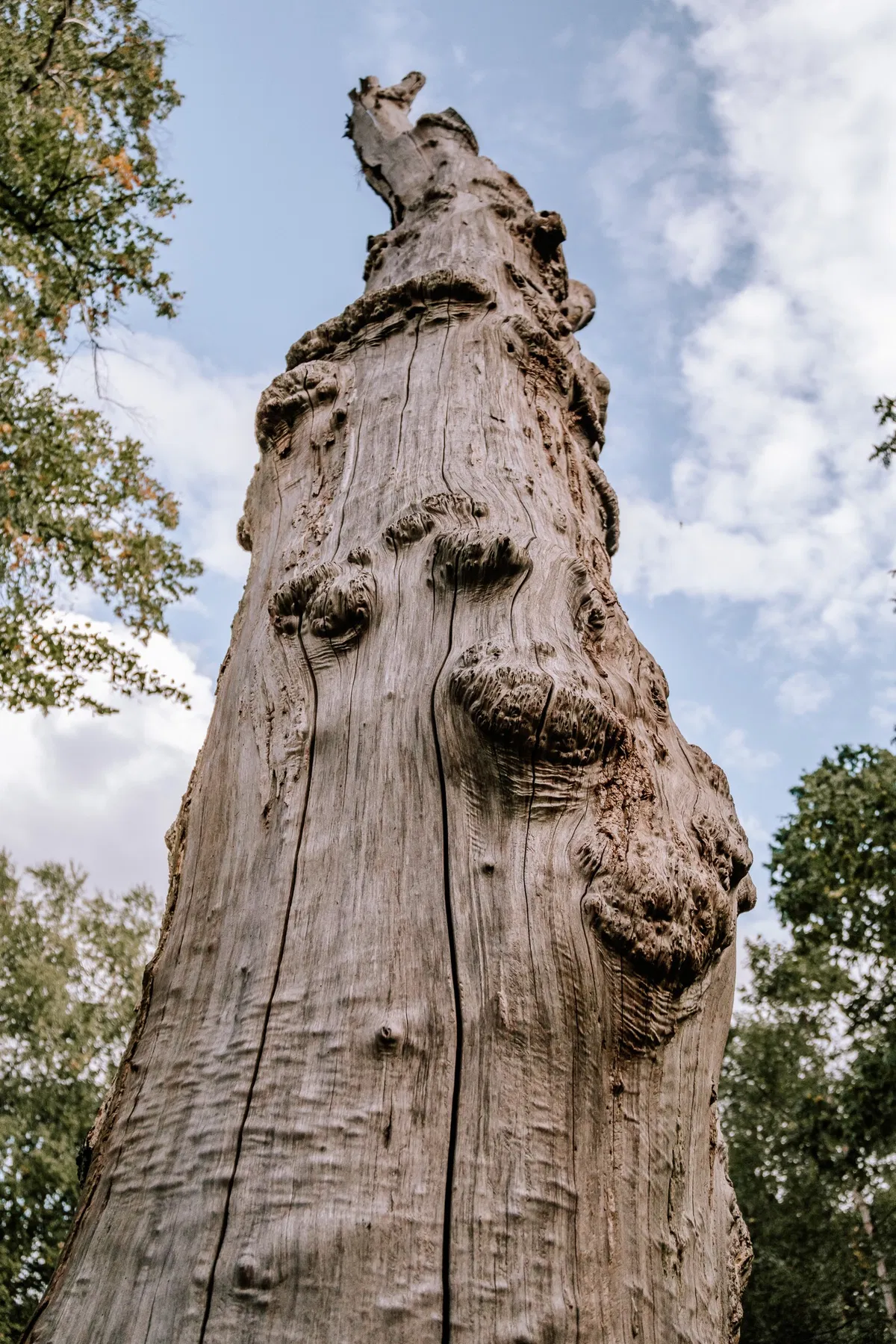 Nature and wildlife photography by Sofie Redfern