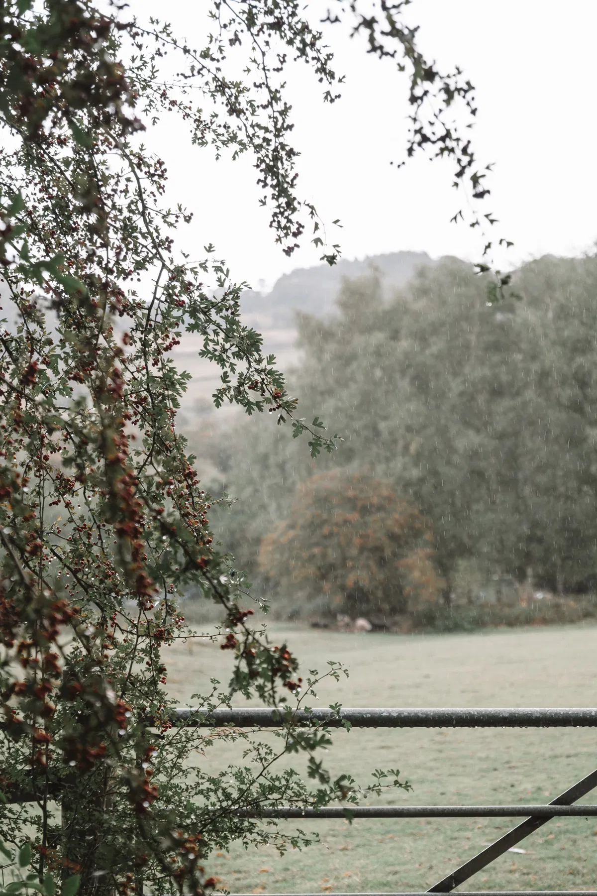 Nature and wildlife photography by Sofie Redfern