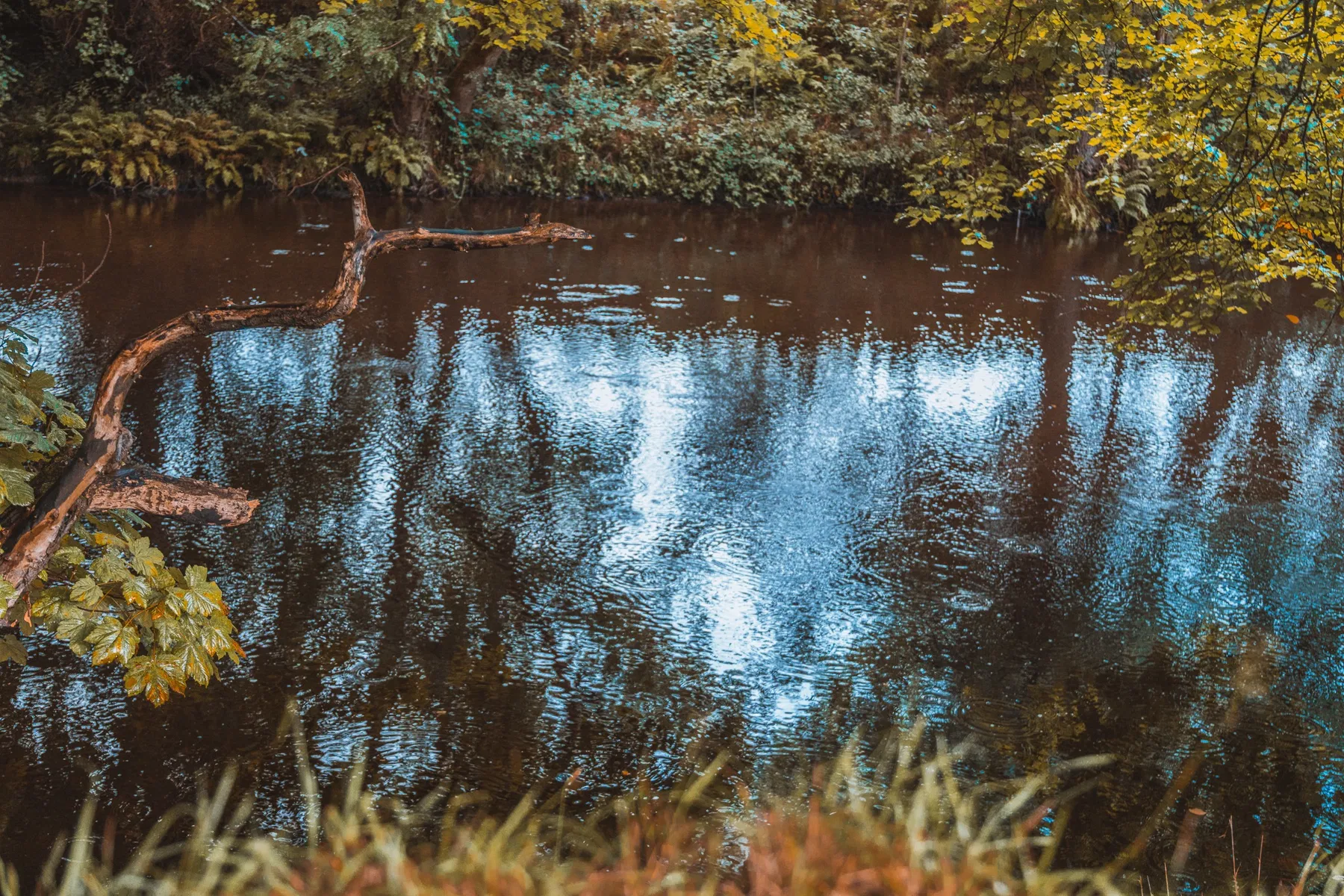 Nature and wildlife photography by Sofie Redfern