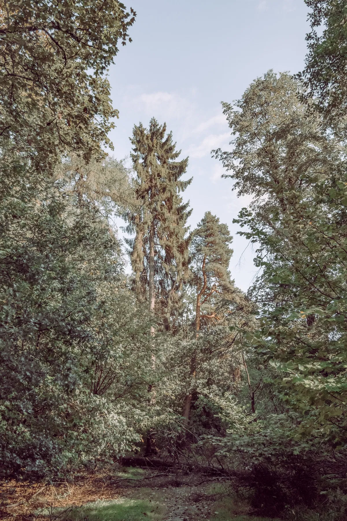 Nature and wildlife photography by Sofie Redfern