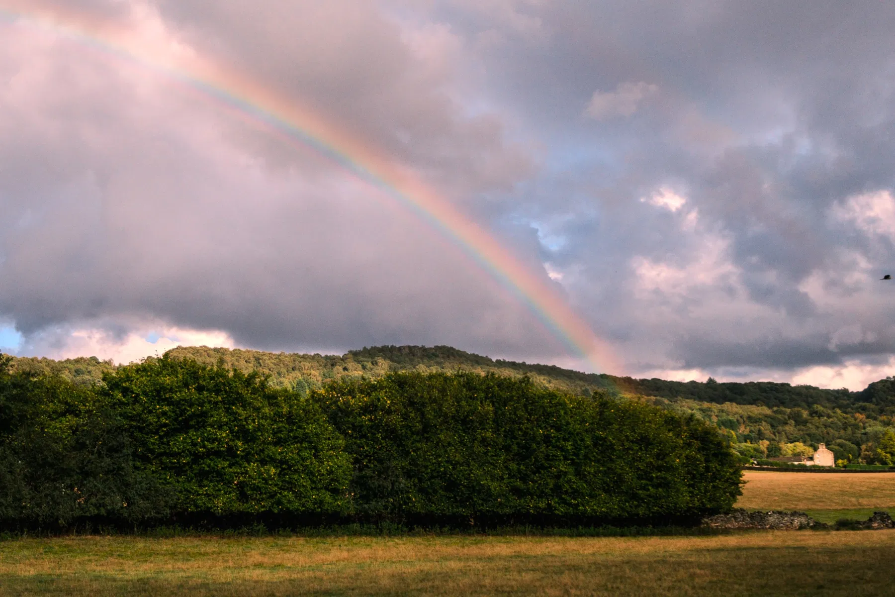 Nature and wildlife photography by Sofie Redfern