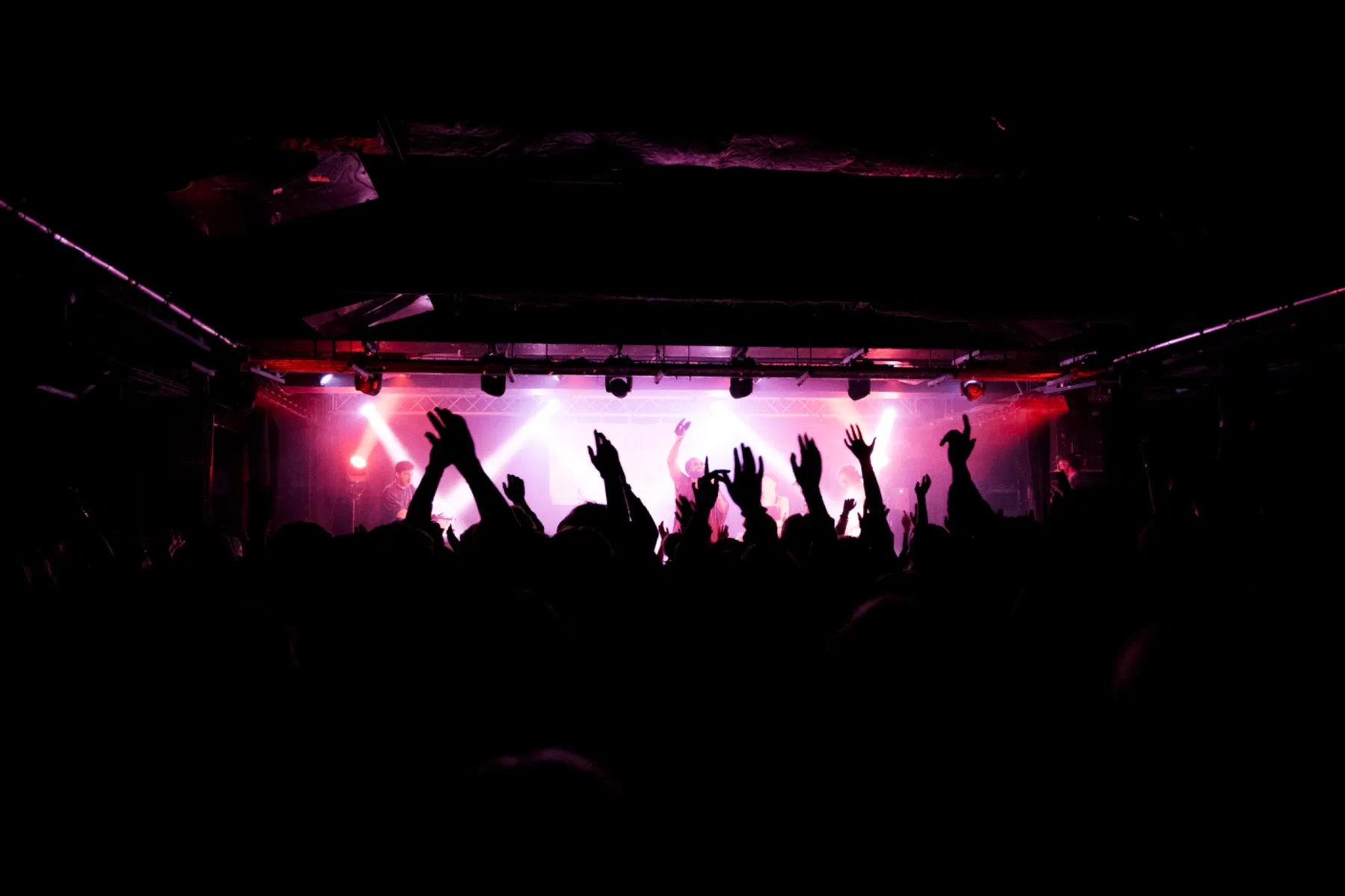 Live music and event photography by Sofie Redfern